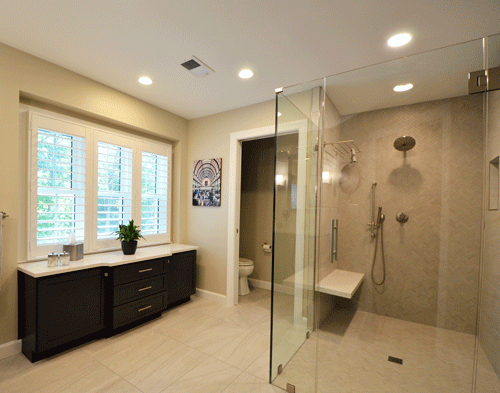 Fairfax-Design-Solutions-master-cabinet-and-shower